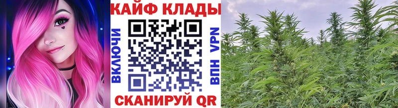  Кокаин Пугачёв