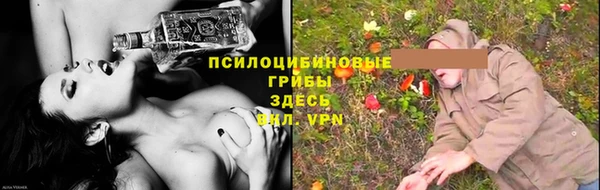 СК Каменск-Шахтинский
