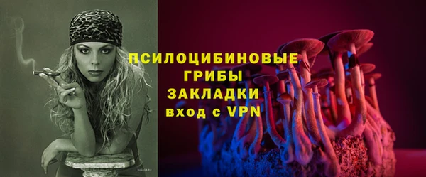винт Каменка