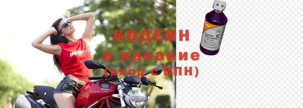 винт Каменка