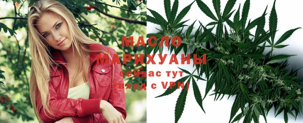 винт Каменка