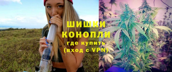 винт Каменка