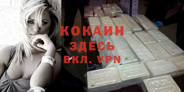 винт Каменка