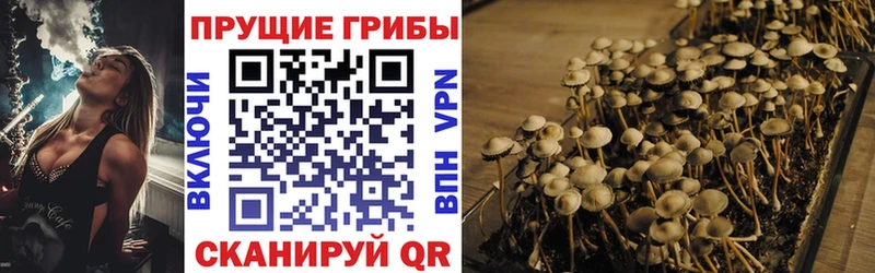 Галлюциногенные грибы ЛСД  Купить где  Пугачёв 